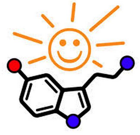 serotonin mental health