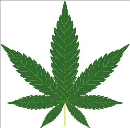 Cannabis Use